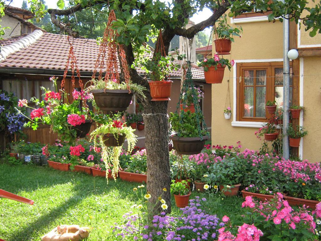 Guest House Bashtina Striaha Koprivshtitsa Eksteriør billede